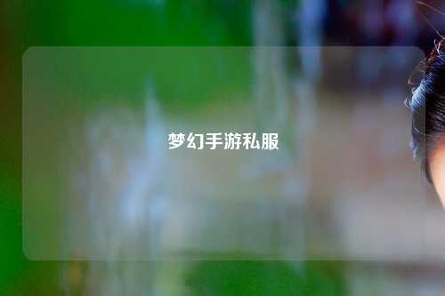 夢幻手游私服